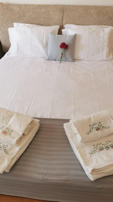 Amazing Lodge By The Ocean - Fully Equipped! Ericeira Extérieur photo