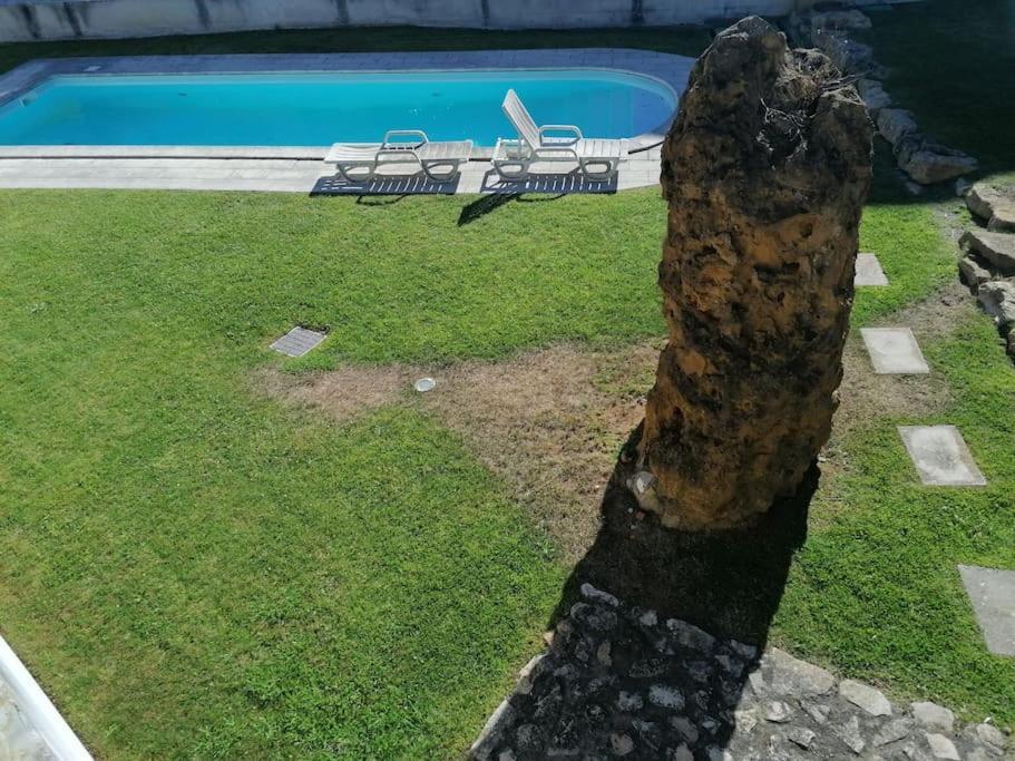 Amazing Lodge By The Ocean - Fully Equipped! Ericeira Extérieur photo